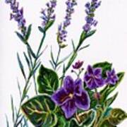 Purple Flowers Illustration Poster