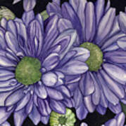 Purple Flowers Poster