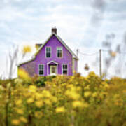 Purple House And Yellow Flowers Poster