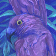 Purple Parrots Poster