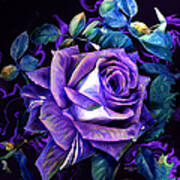 Purple Rose Bud Painting Poster