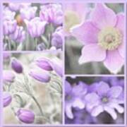 Purple Spring Bloom Collage. Shabby Chic Collection Poster