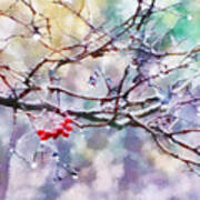 Rain Berries Poster