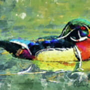 Rainbow Duck Poster