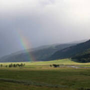 Rainbow Hayden Valley Yellowstone Usa Poster
