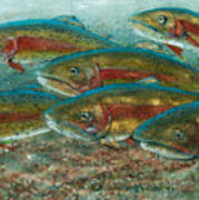 Rainbow Trout Fish Run Poster