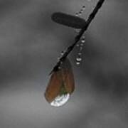 Raindrop Art.... Poster