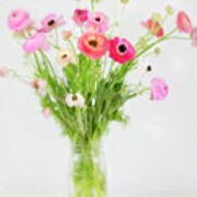 Ranunculus And Anemones Painterly Poster