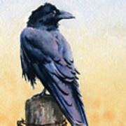 Raven Poster