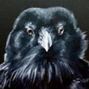 Raven Fluff Poster