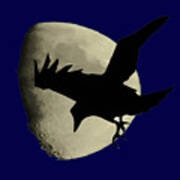 Raven Flying Across The Moon Poster