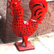 Red And Black Rooster Poster