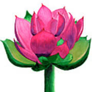 Red And Pink Lotus Floral Watercolor Painting 619 Poster
