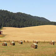 Red Barn And Hay Bales  3616 Poster