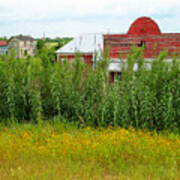 Red Barn Dance Hall Black Eyed Susans - Abandoned Town Poster