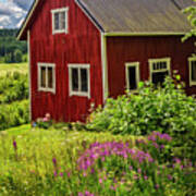 Red Barn On A Summer Day Poster