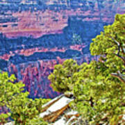 Red Canyon Wall By The Abyss In Grand Canyon National Park-arizona Poster