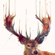 Red Deer Poster