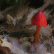 Red Forest Mushroom Poster