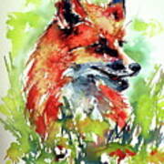 Red Fox Relax Poster
