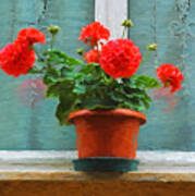 Red Geraniums Poster