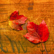 Red Leaves On Wood Still Life Poster