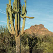 Red Mountain And Saguaro Shadow 2439-032118-cr Poster