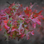 Red Oak Leaves, Grapevine Texas Poster