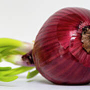 Red Onion Poster
