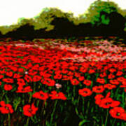 Red Poppies Landscapes Flowers Emerald Isle Multimedia Fine Art Poster