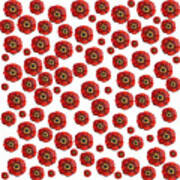 Red Poppies Transparent Poster