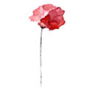 Red Poppy Watercolor Minimalist Painting Poster
