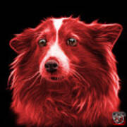 Red Shetland Sheepdog Dog Art 9973 - Bb Poster