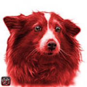 Red Shetland Sheepdog Dog Art 9973 - Wb Poster