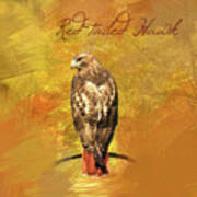 Red-tailed Hawk Watercolor Photo Poster