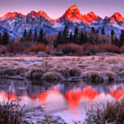 Red Teton Peaks In The Willows Landscape Poster