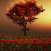 Red Tree In The Evening Poster