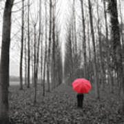 Red Umbrella In An Allee Poster