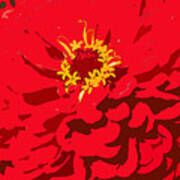 Red Zinnia Poster