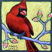 Redbird With Buds Poster
