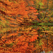 Reflection Of Autumn Poster