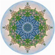 Reflections Of Life Mandala 2 Poster