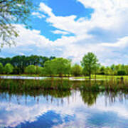 Reflections On A Spring Pond Poster