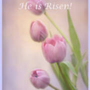 Rejoice He Is Risen Poster