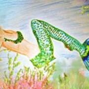 Mermaid Relaxing In The Shallows Poster