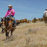 Reno Cattle Drive 5 Poster