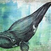 Right Whale Poster