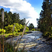 Rio Tomebamba, One Of Cuenca's Four Rivers Poster