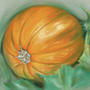 Ripening Pumpkin On The Vine Poster