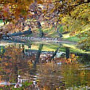 Ripples In An Autumn Lake Poster